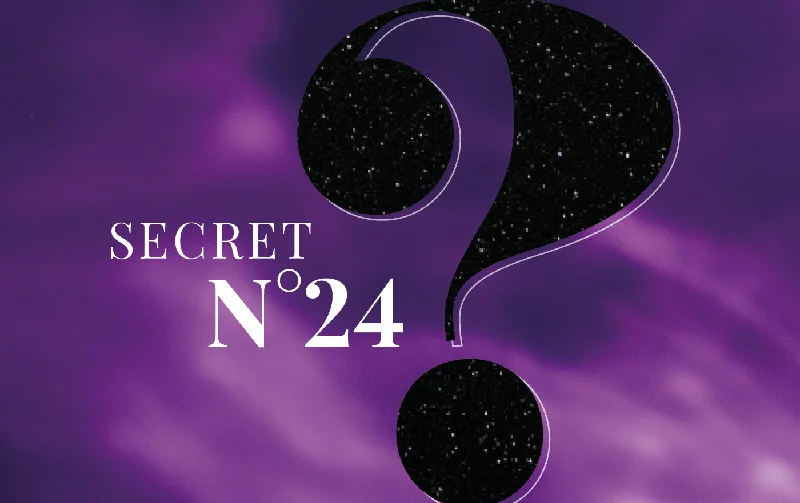 Luxury Lingerie for Special Occasions Mystery gift 24